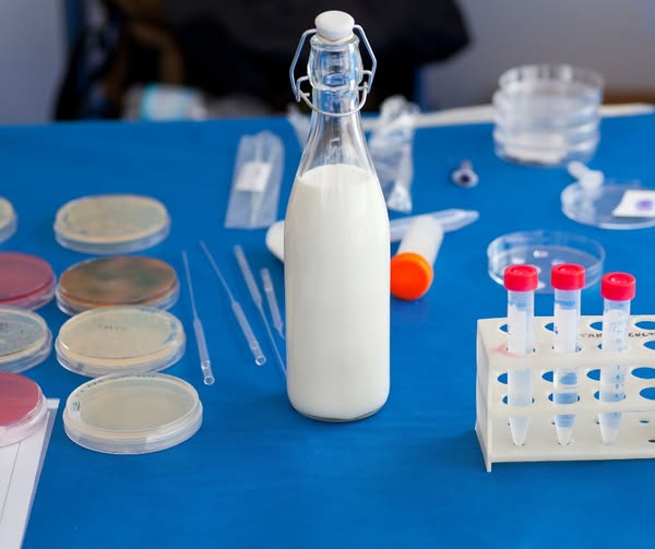 Próbki mleka i sprzęt laboratoryjny — Gabinet Amicus